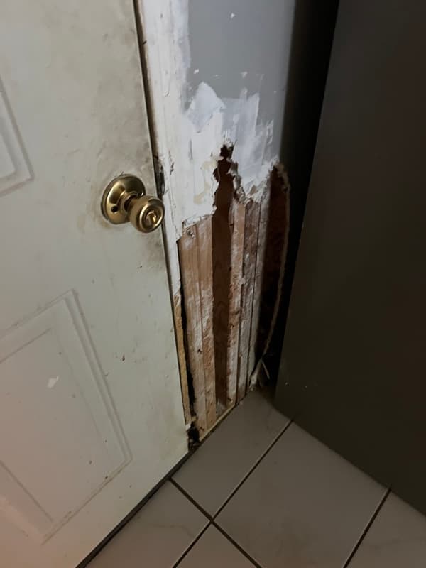 Home in rough condition that we purchased